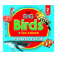 My Big Birds Board Book