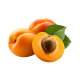 Apricot (Khubani) Big