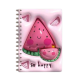 Fancy Notebook Dairy NA580092