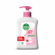 Dettol Hand Wash 250Ml Skincare