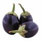 Bengan (Egg Plant Long-Brinjal)