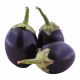 Bengan (Egg Plant Long)