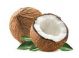 Coconut Whole 1S