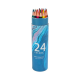 Color Pencil 24Pcs (21851-29/2)