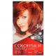 Colorsilk Hair Color 42