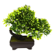 Flower Pot (658-29/2)
