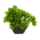 Flower Pot (658-29/5)