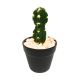 Flower Pot (658-29/6)