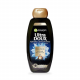 Garnier Ud Black Chrcol & Nigela Seed Oil Hair Shampoo 400Ml
