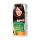Garnier Color Frosty Dark Mahogany # 4.15