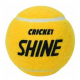CKT Tennis Ball Shine Goldstar 1105