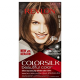 Colorsilk Hair Color 5N