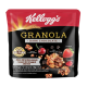 Kelloggs Granola Dark Chocolate SP 40gm