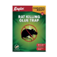 Kingtox Rat & Mouse Killer