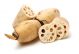 Lotus Root (Bay)