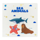 Paramount Little Hand`s Board BK Sea
