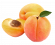 Aroo (Peach)