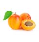Apricot (Khubani)