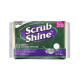 Scrub Shine Scourer+Nail Saving Sponge