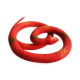 Rubber Snake/Lizard/Scorpio 1S (2361-2/1)