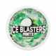 Bumble Bee Ice Blasters Mints Spearmint S/F 35g