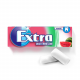 Extra Bubble Gum Watermelon S/F Stick 14g